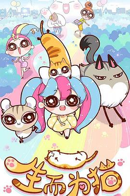 昭通seo优化平台